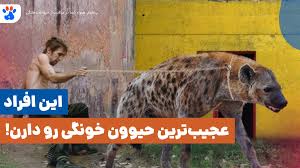 images 1 1