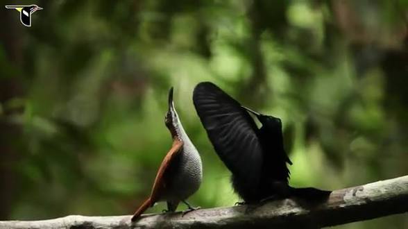 images 1 2