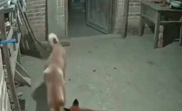 VideoCapture ۲۰۲۶۰۷۰۴ ۰۴۰۵۴۴